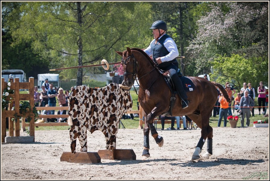 Pferd International 056